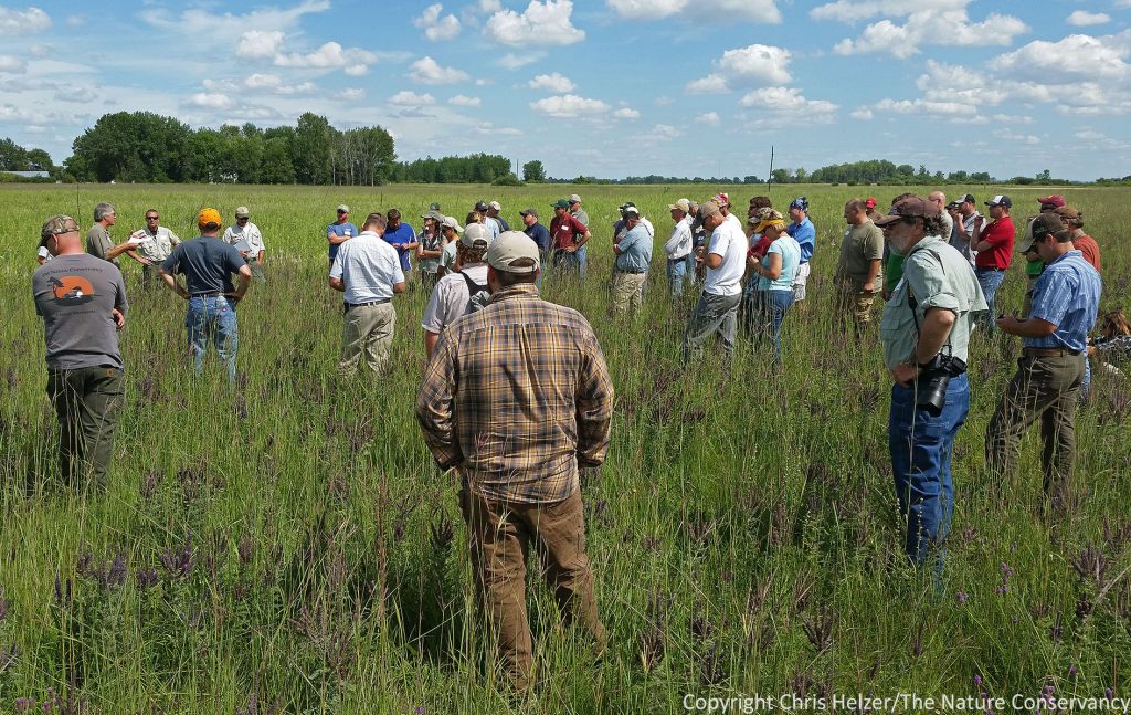 grasslands restoration gathering of people