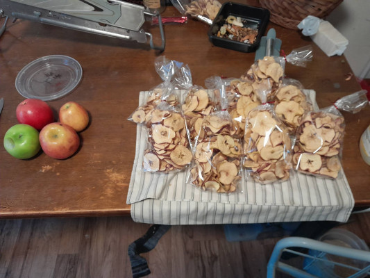 Apple Chip Sales