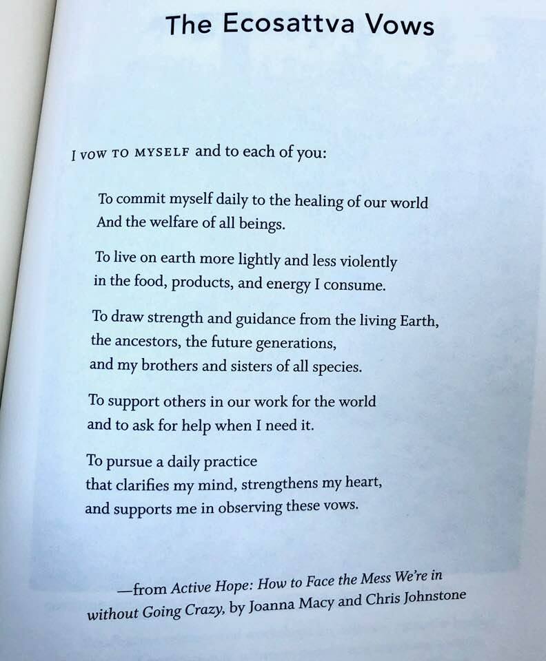 from <em>Active hope: How to Face the Mess We're in without Going Crazy</em>, by Joanna Macy and Chris Johnstone.